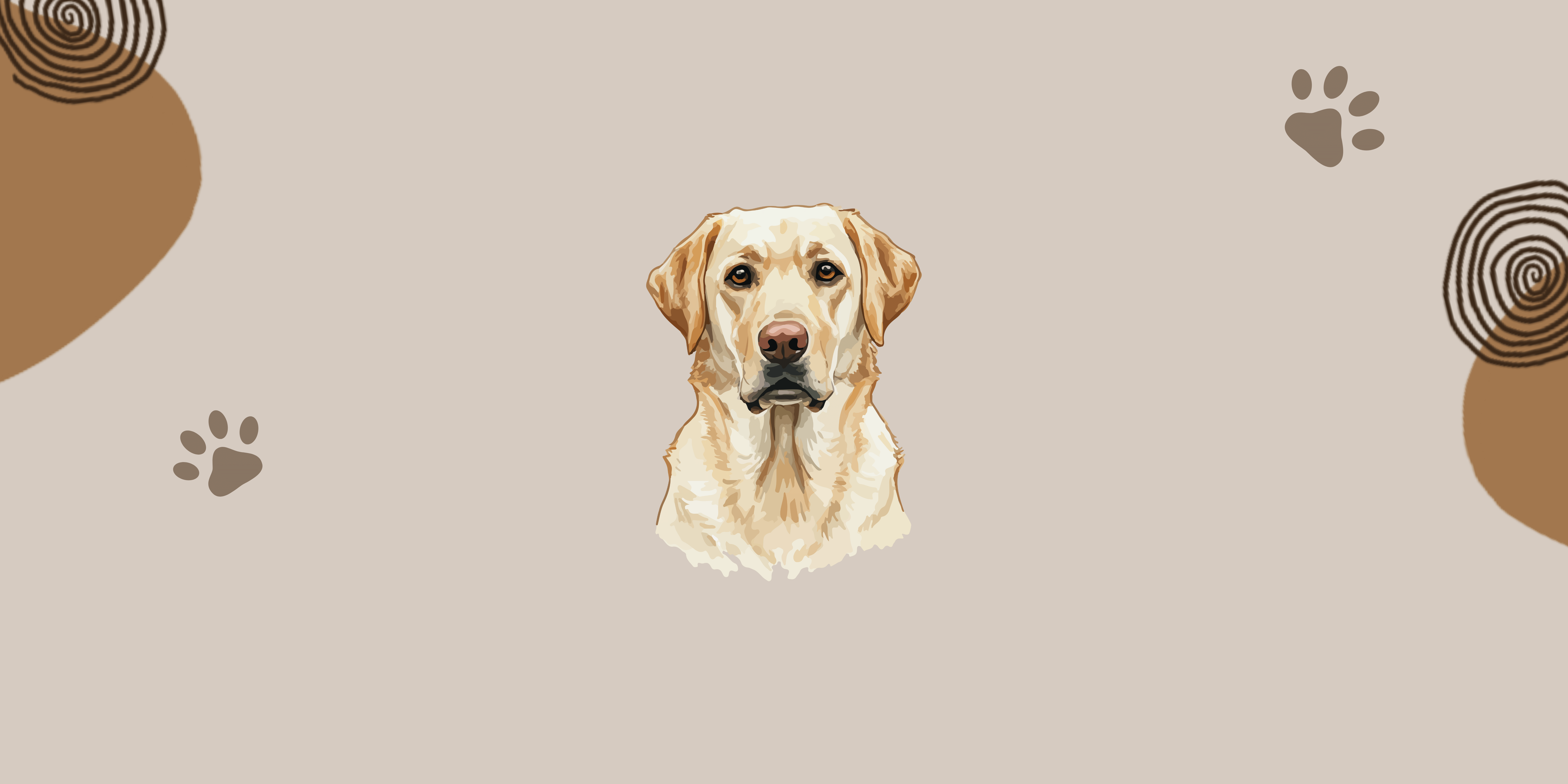 Golden Labrador - The Guide Dogs